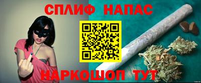 индика Пушкино