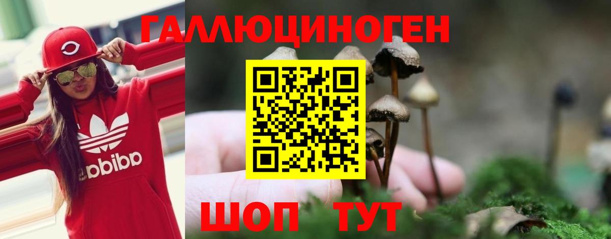 Псилоцибиновые грибы прущие грибы  Галлюциногенные грибы Magic Shrooms  Ртищево  Вход с VPN 